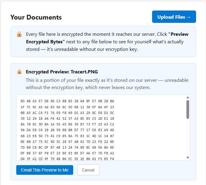 MyLynk's Preview Encrypted Bytes screen, showing the raw scrambled ciphertext of a stored file